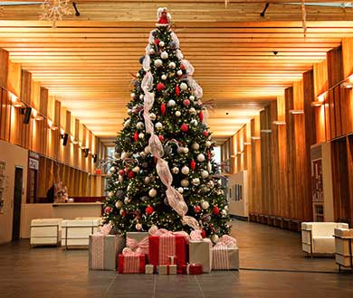 Интерьерные ёлки в Якутске