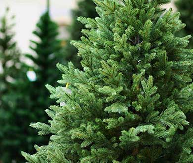 Новинки искусственных ёлок 2019-2020 в Якутске